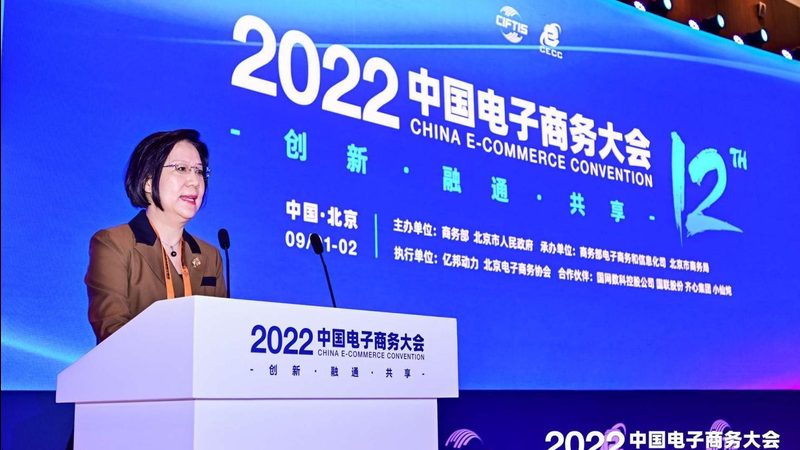 小标题：小类目电商面临的挑战